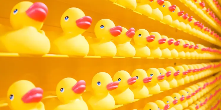 Ohne Marketing hilft auch die beste Suchmaschinenoptimierung nichts 1 Gummienten, Quietsche-Entchen im Regal